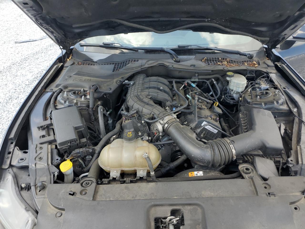 1FA6P8AM3G5276701 2016 Ford Mustang