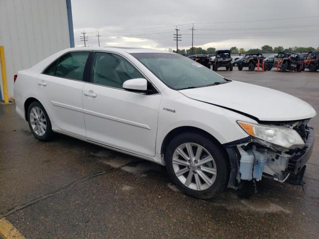 2014 Toyota Camry Hybrid VIN: 4T1BD1FKXEU116880 Lot: 56885494