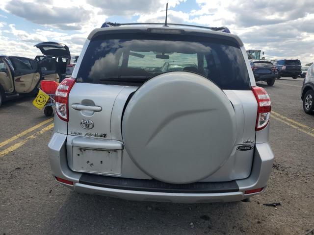 2010 Toyota Rav4 VIN: JTMBF4DVXA5020975 Lot: 58010494