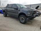 FORD F150 RAPTO photo