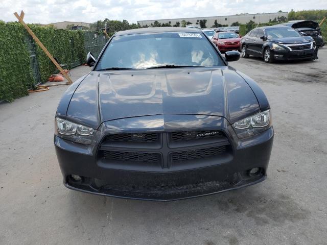 2012 Dodge Charger Police VIN: 2C3CDXAT9CH172292 Lot: 54197504