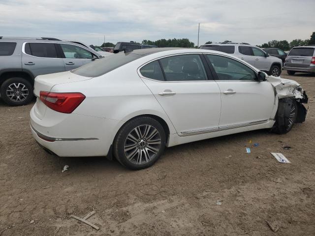 2014 Kia Cadenza Premium VIN: KNALN4D7XE5144482 Lot: 61074164