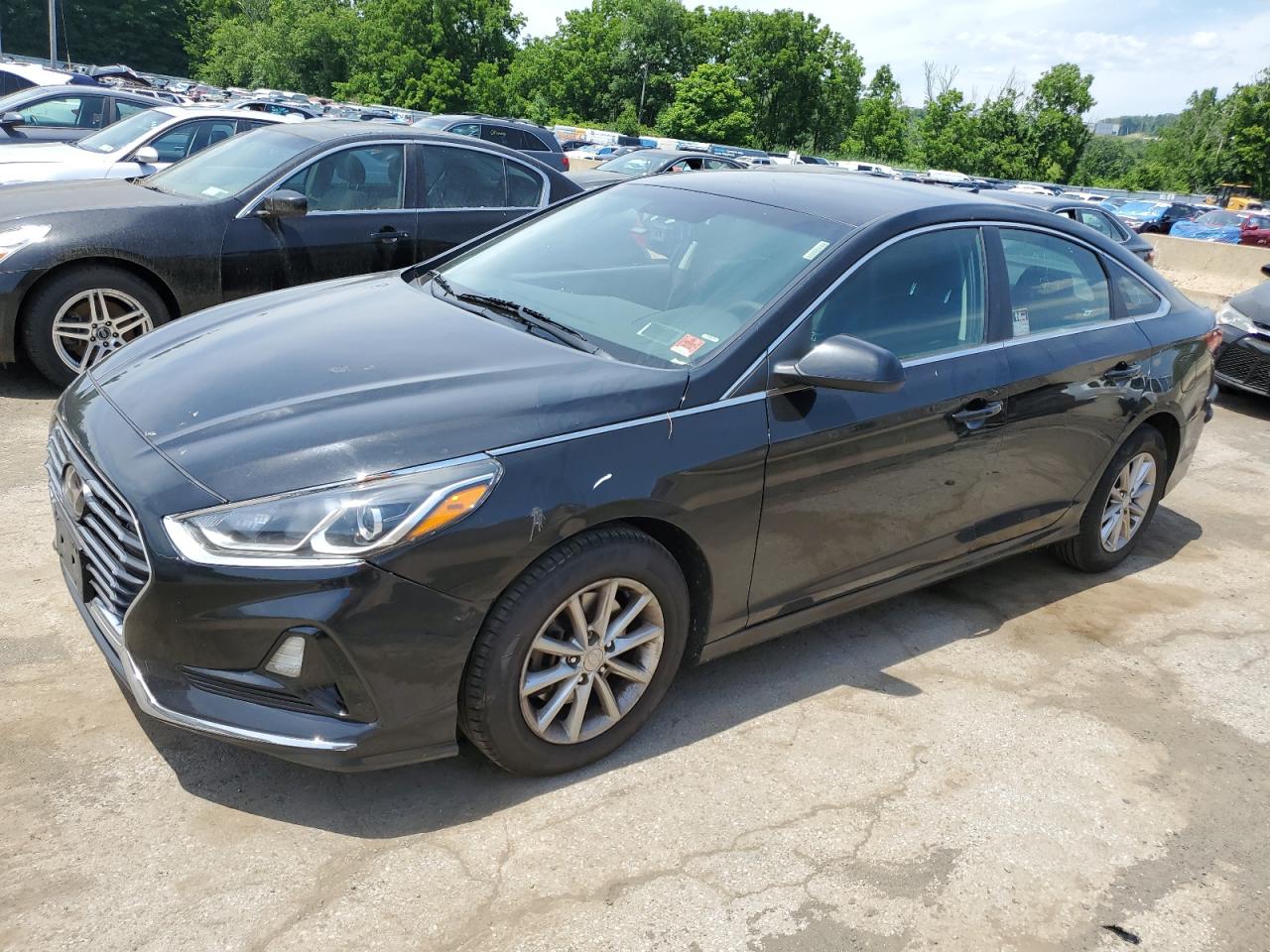 2019 Hyundai Sonata Se vin: 5NPE24AF3KH751092