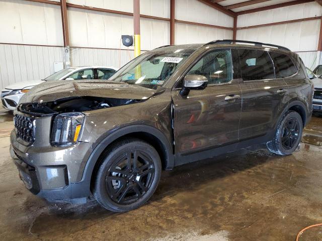 2024 Kia Telluride Sx VIN: 5XYP5DGC3RG513855 Lot: 61155304