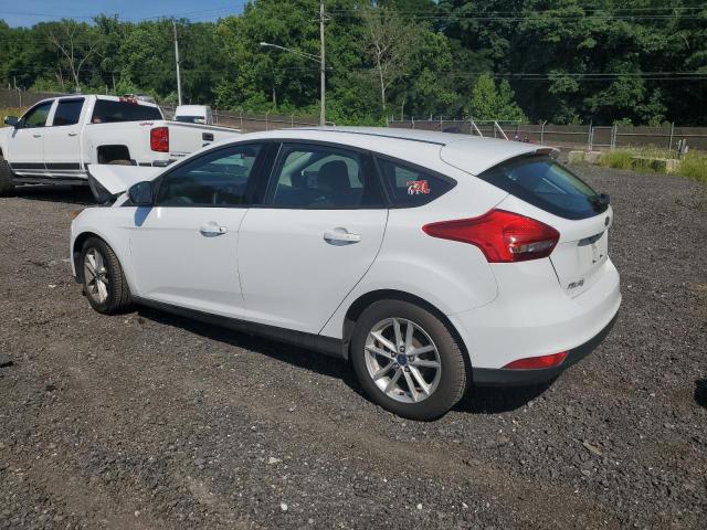 2017 Ford Focus Se VIN: 1FADP3K29HL232982 Lot: 56841644