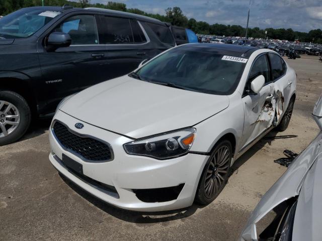 2014 Kia Cadenza Premium VIN: KNALN4D78E5135277 Lot: 57433824