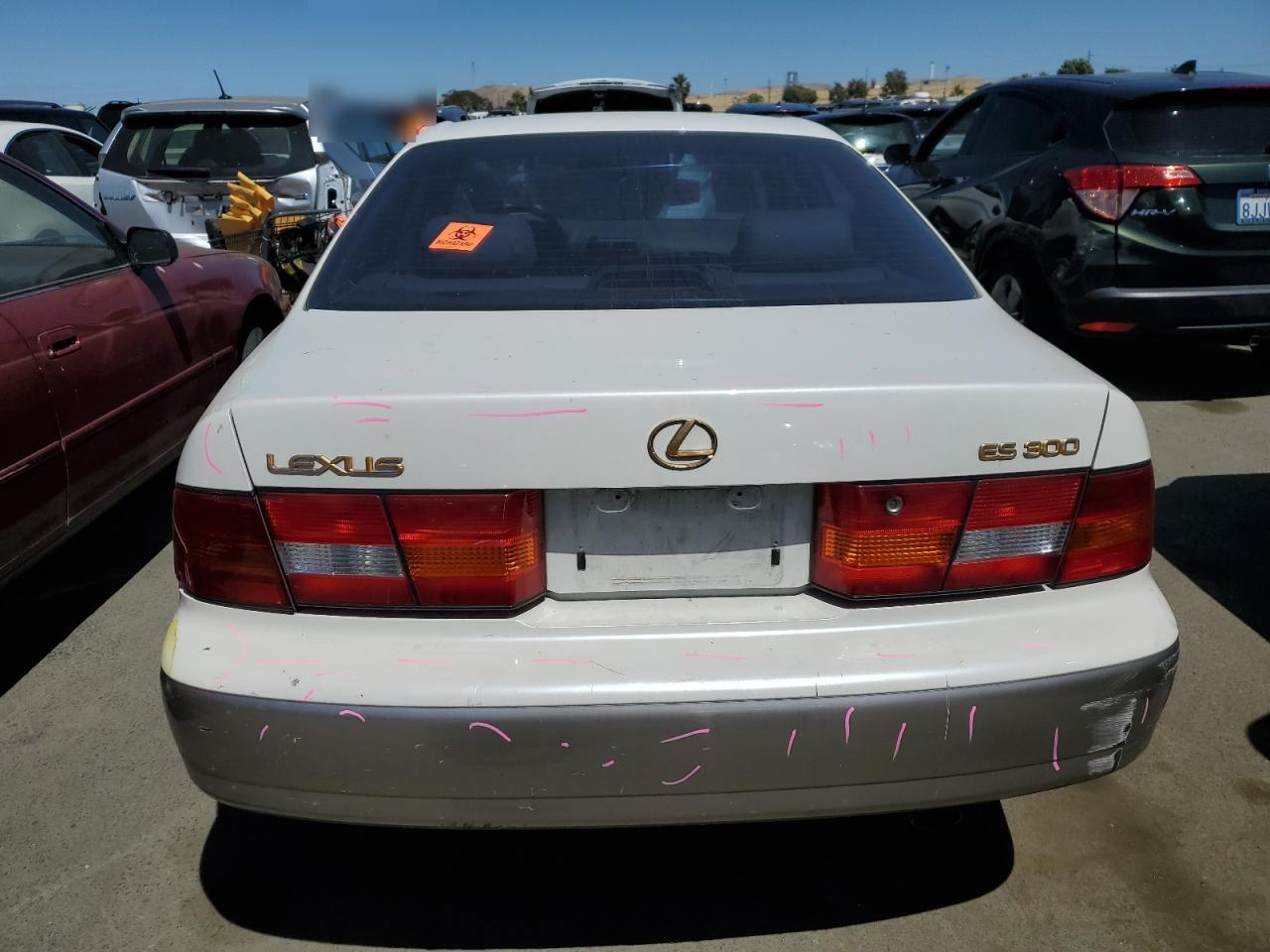 JT8BF22G1V5012177 1997 Lexus Es 300