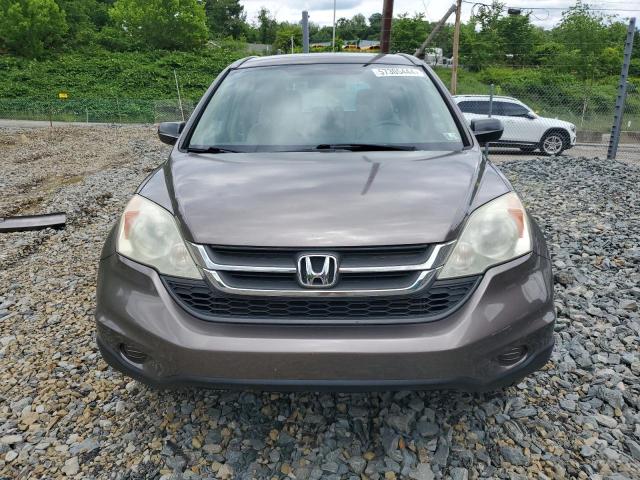 2010 Honda Cr-V Lx VIN: 5J6RE4H37AL096203 Lot: 57305444