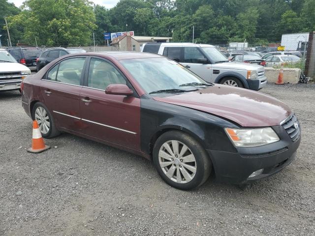 2009 Hyundai Sonata Se VIN: 5NPEU46F09H513651 Lot: 57055474