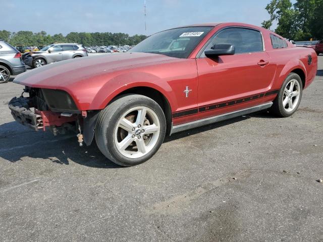 2008 Ford Mustang VIN: 1ZVHT80N385102943 Lot: 60615404