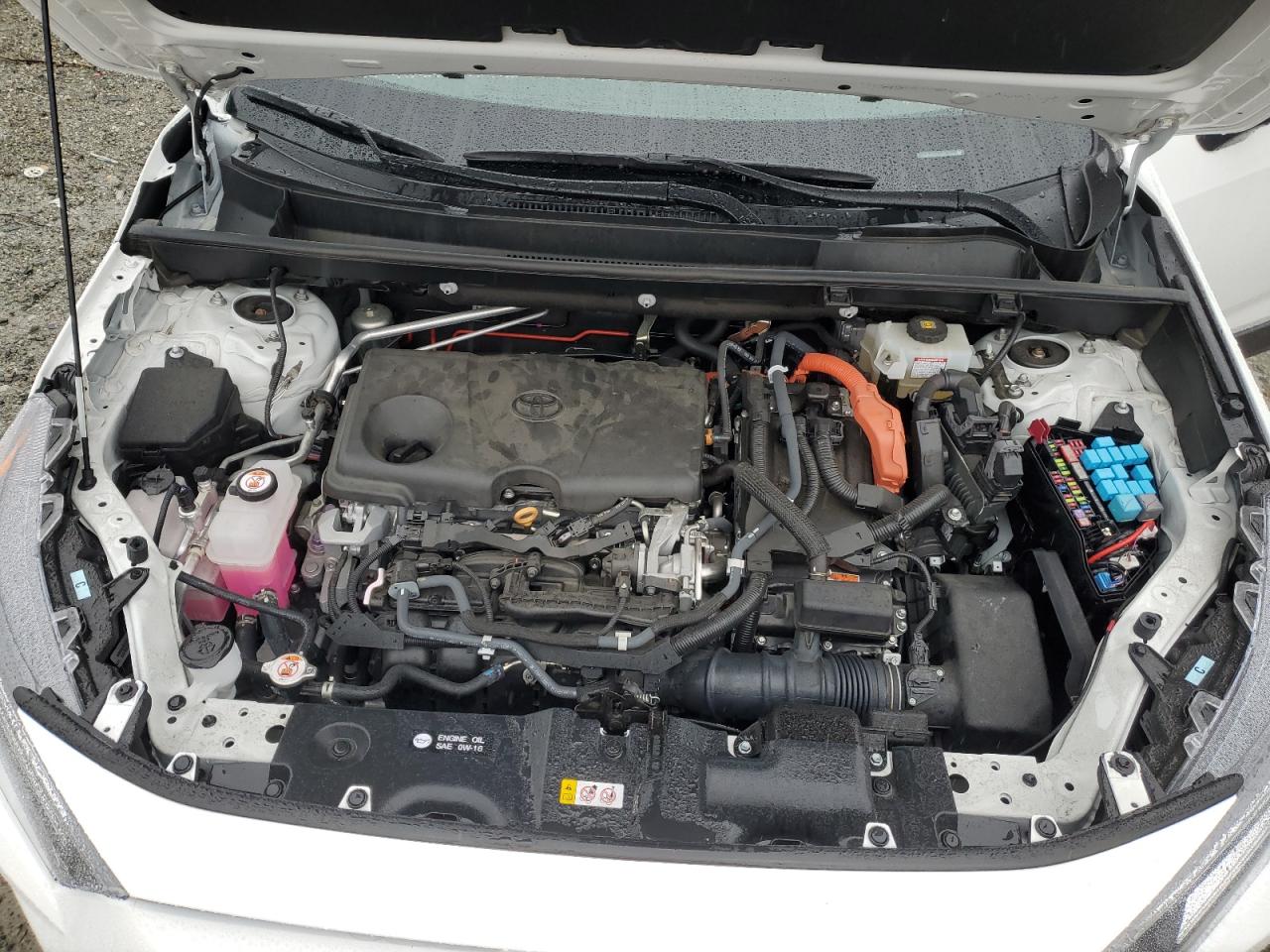 2T3RWRFV1LW056557 2020 Toyota Rav4 Xle