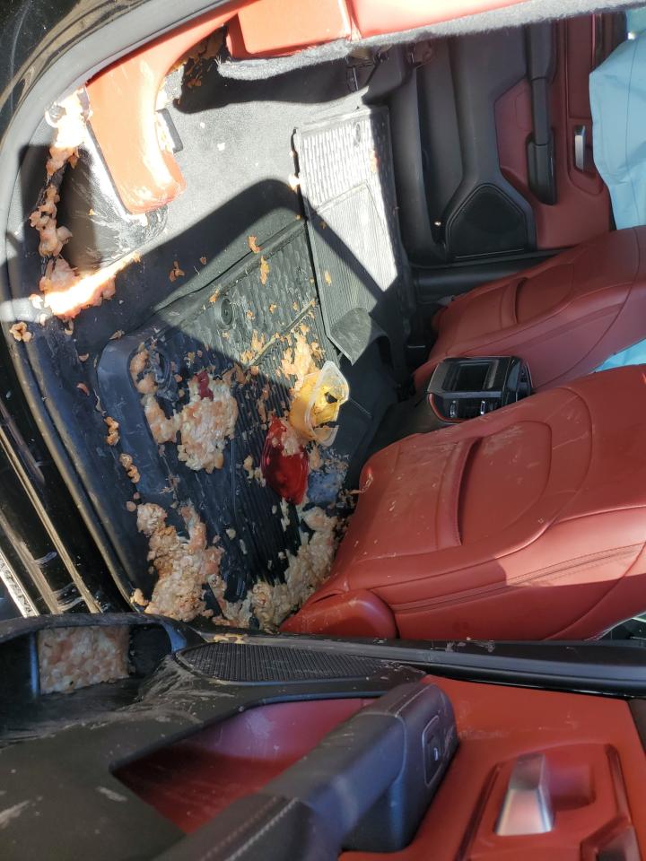 1C6SRFLT7LN258036 2020 Ram 1500 Rebel