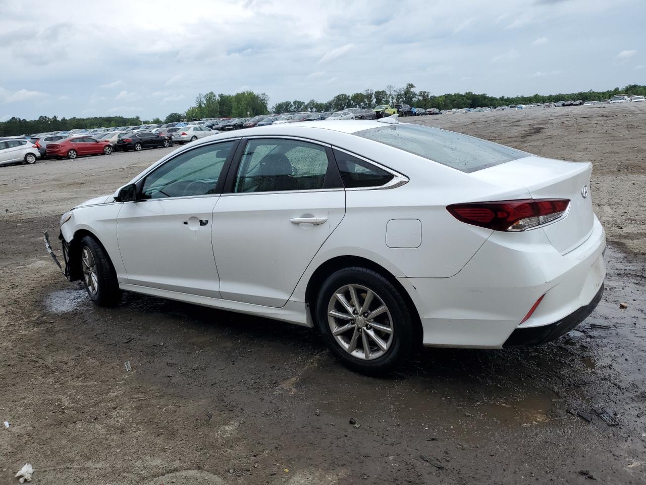 5NPE24AF6KH796348 2019 Hyundai Sonata Se