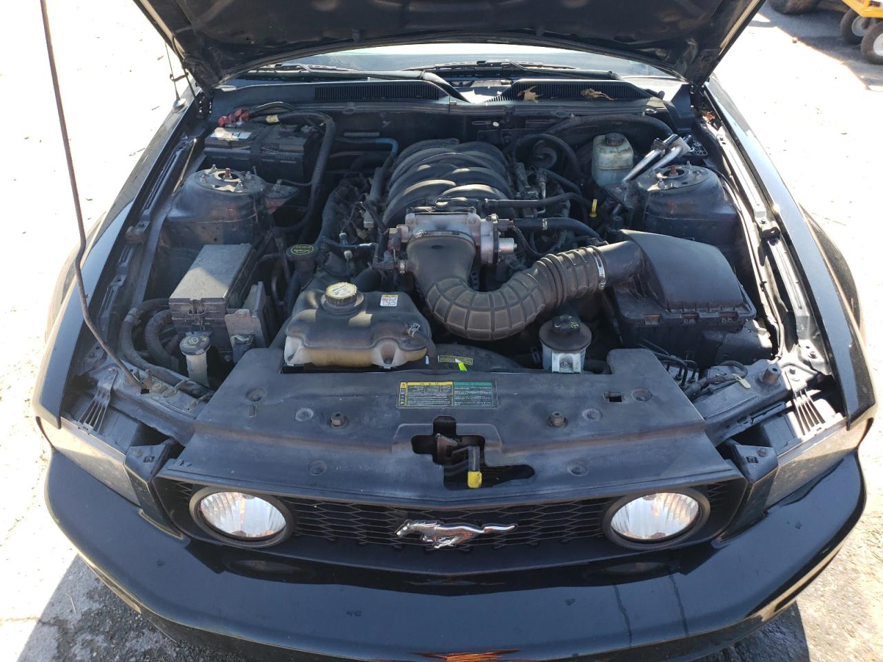 1ZVFT82H965160857 2006 Ford Mustang Gt