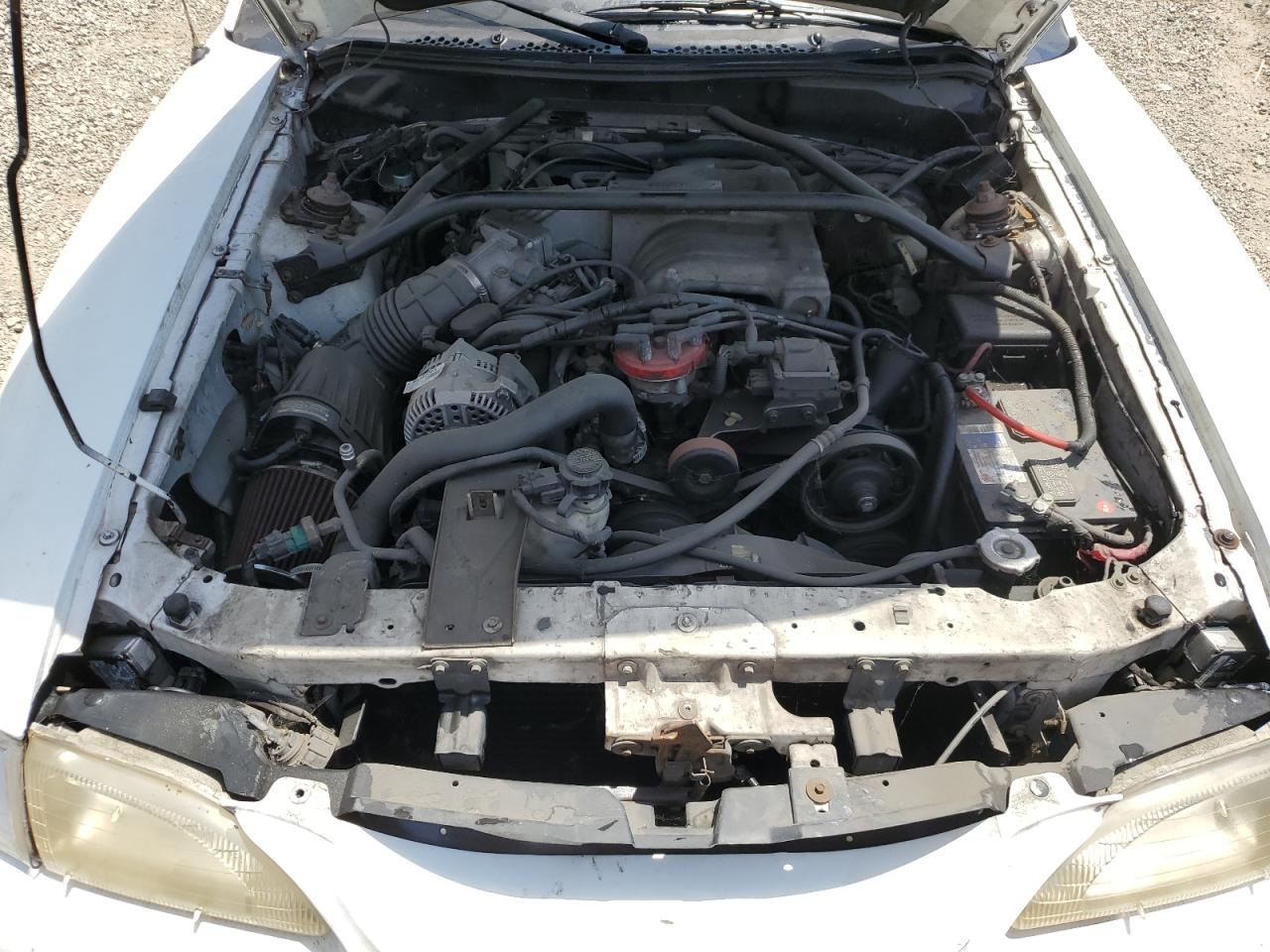 1FALP45T8SF204991 1995 Ford Mustang Gt