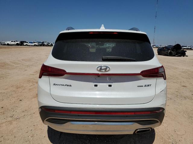 2021 Hyundai Santa Fe Limited VIN: 5NMS4DAL1MH341782 Lot: 58418584