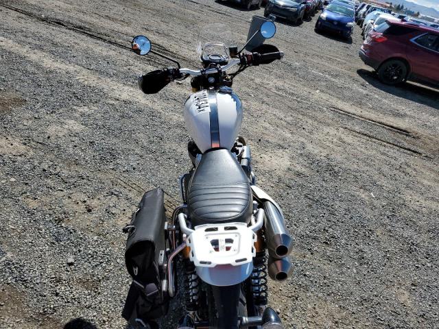 2019 TRIUMPH MOTORCYCLE SCRAMBLER - SMTD51HG4KT933252