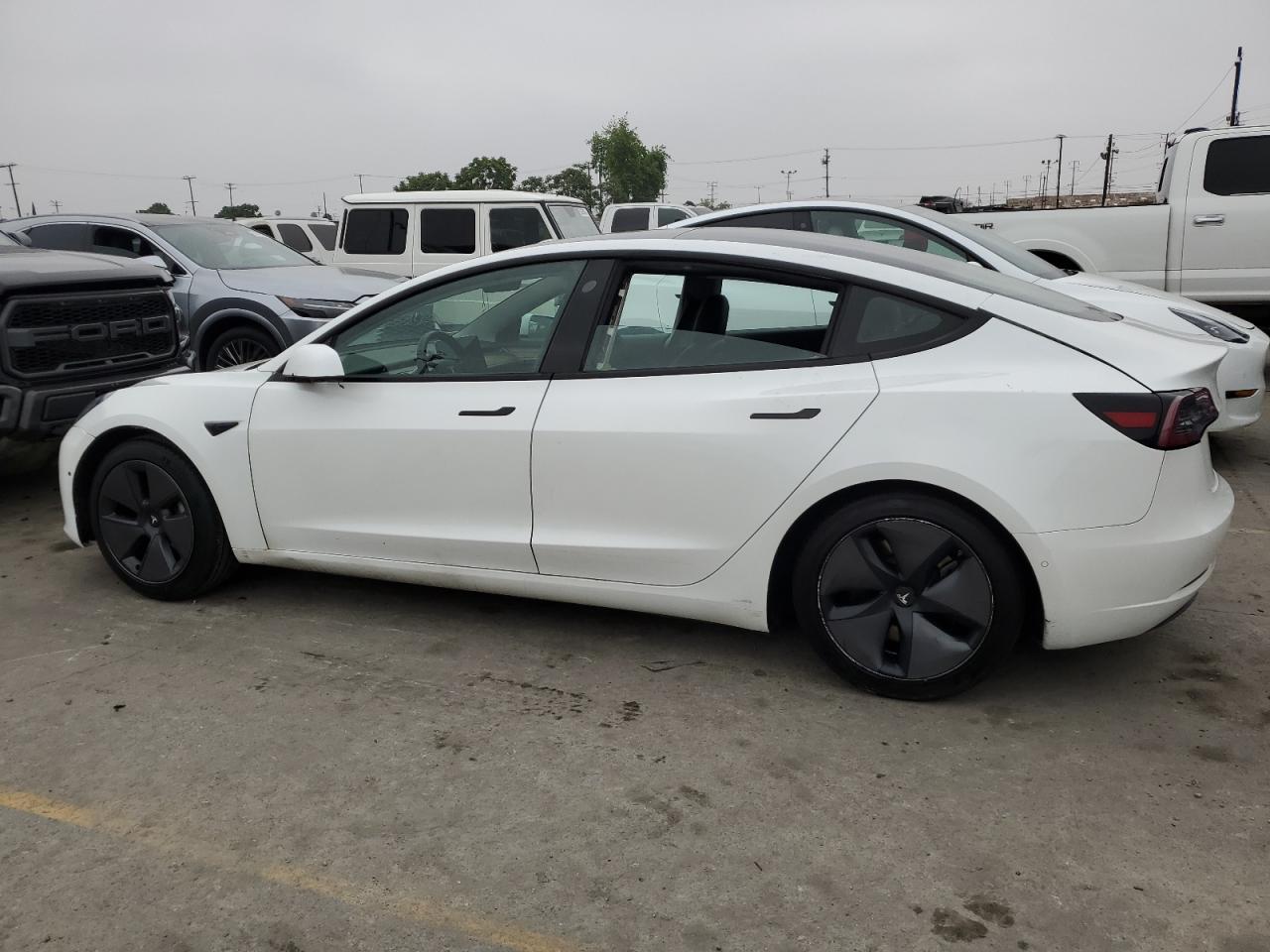 2021 Tesla Model 3 vin: 5YJ3E1EA9MF022057