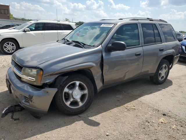 2008 Chevrolet Trailblazer Ls VIN: 1GNDT13S682235330 Lot: 59468064