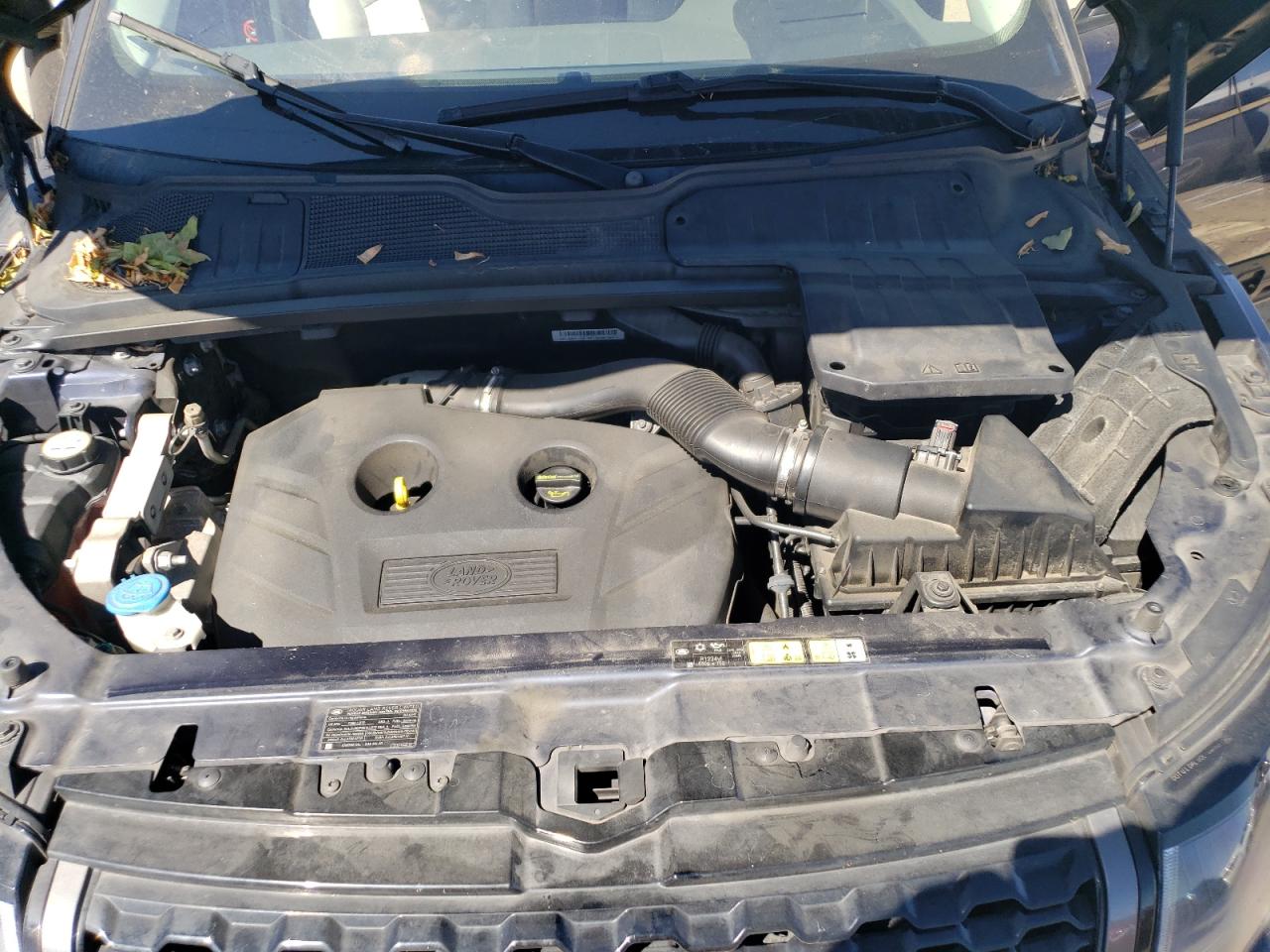 SALVD2BG7GH100231 2016 Land Rover Range Rover Evoque Hse Dynamic