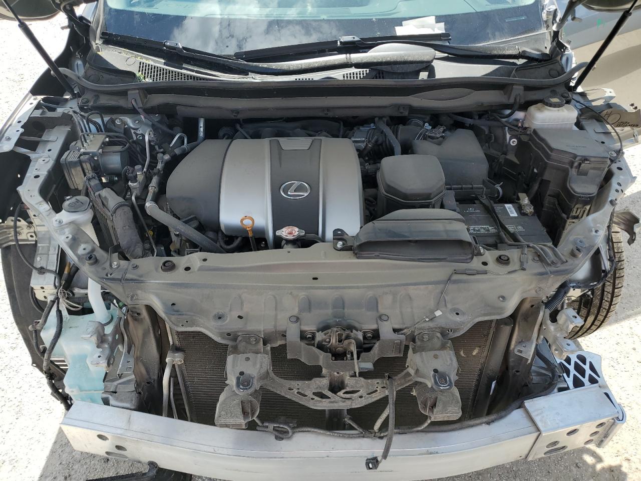 2T2ZZMCA0KC131118 2019 Lexus Rx 350 Base