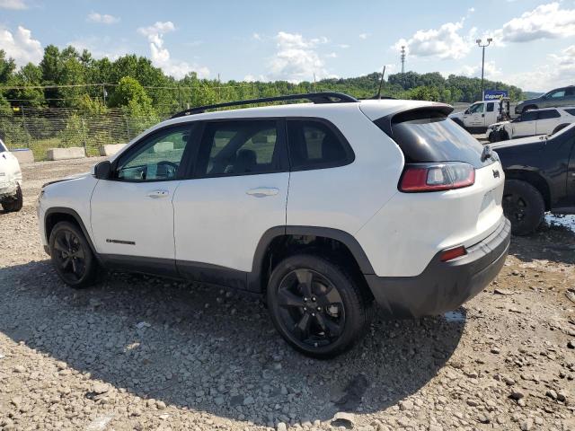 2019 JEEP CHEROKEE L 1C4PJLLB8KD455622