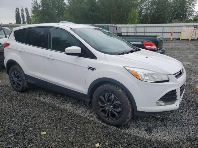 2013 Ford Escape Se VIN: 1FMCU9GX0DUD04688 Lot: 57707304