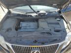 LEXUS RX 350 photo