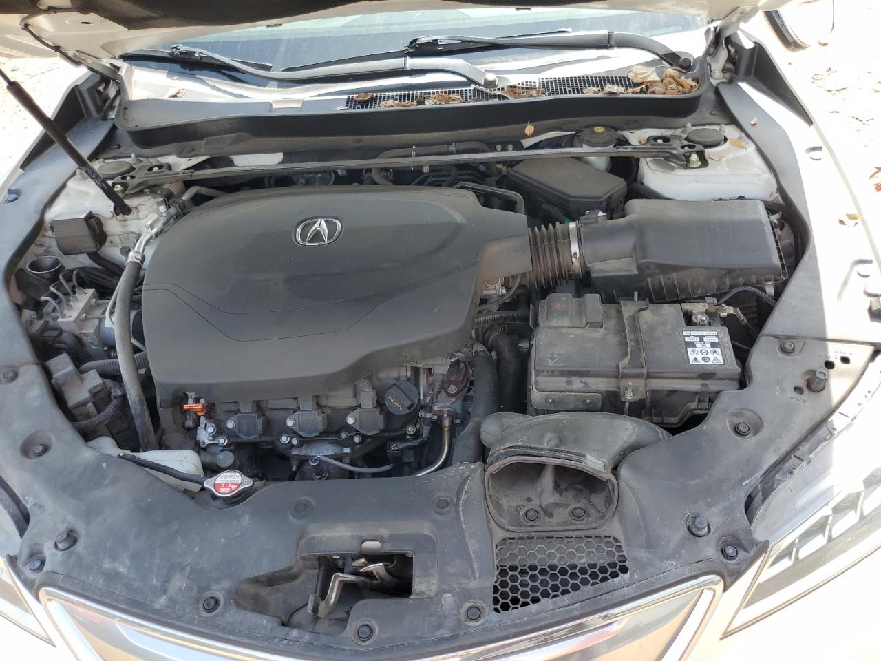19UUB2F31HA006731 2017 Acura Tlx