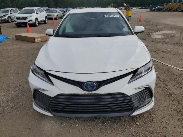 VIN 4T1C31AKXNU571744 2022 Toyota Camry, LE no.5