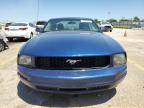 FORD MUSTANG photo