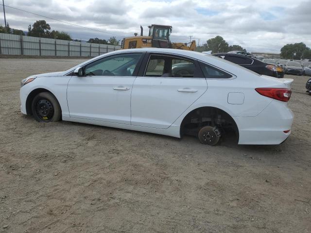 5NPE24AF8HH451721 2017 HYUNDAI SONATA - Image 2