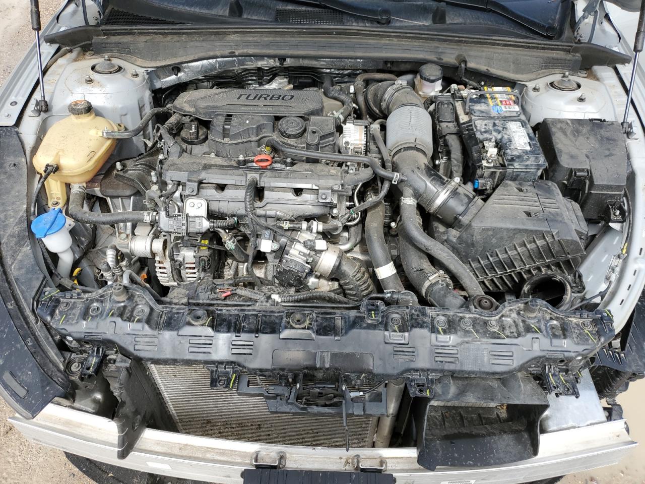 5XXG64J21RG230064 2024 Kia K5 Gt Line