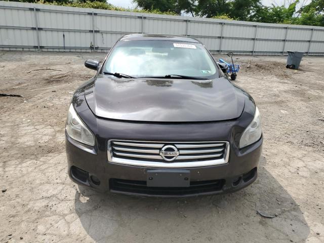 2013 Nissan Maxima S VIN: 1N4AA5AP8DC843920 Lot: 57030364