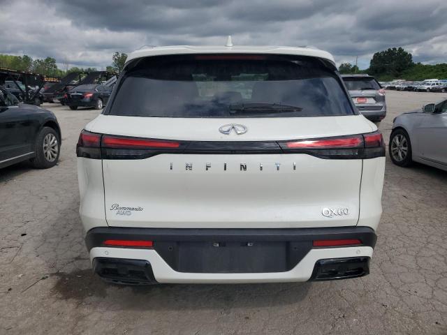 2023 Infiniti Qx60 Luxe VIN: 5N1DL1FS5PC364152 Lot: 58487474