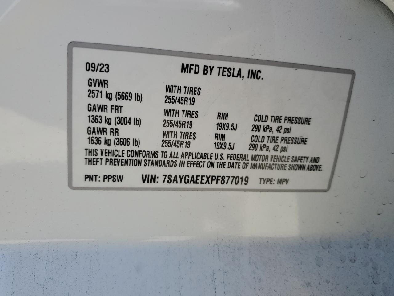 7SAYGAEEXPF877019 2023 Tesla Model Y