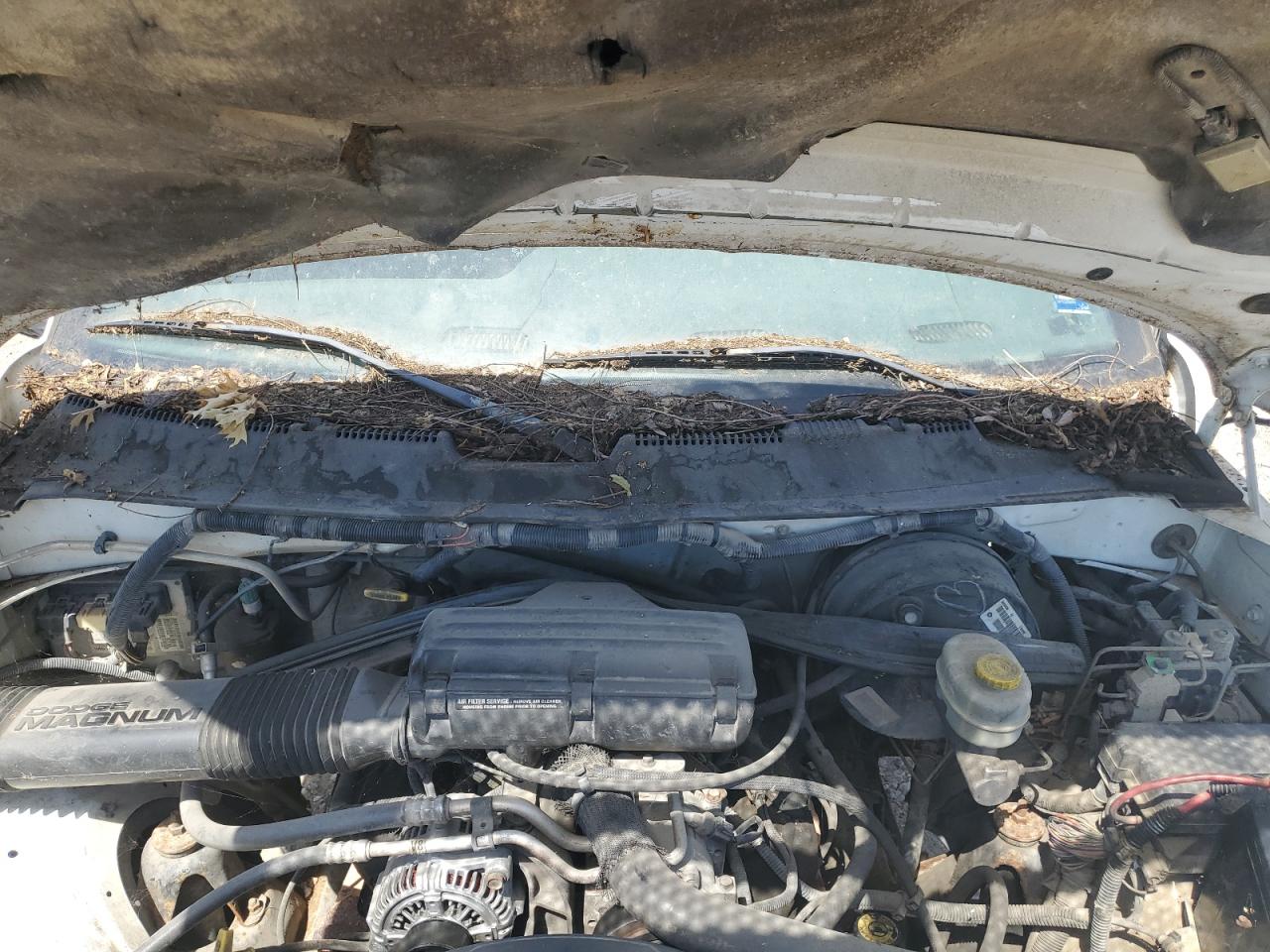 1B7HF16Z1XS149772 1999 Dodge Ram 1500