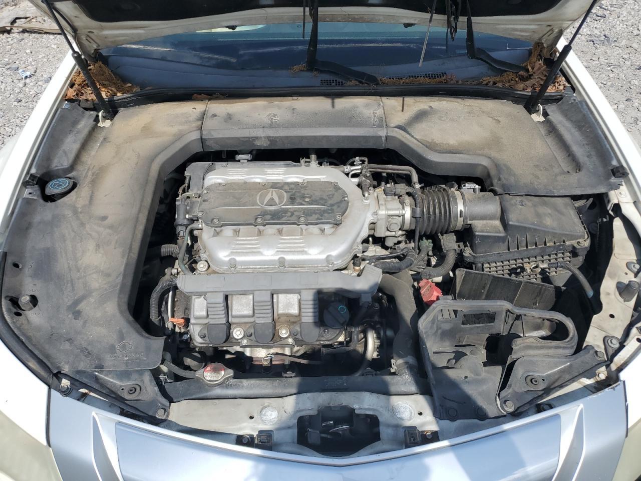 19UUA86289A019264 2009 Acura Tl