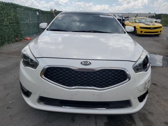 KNALN4D76E5127372 2014 Kia Cadenza Premium