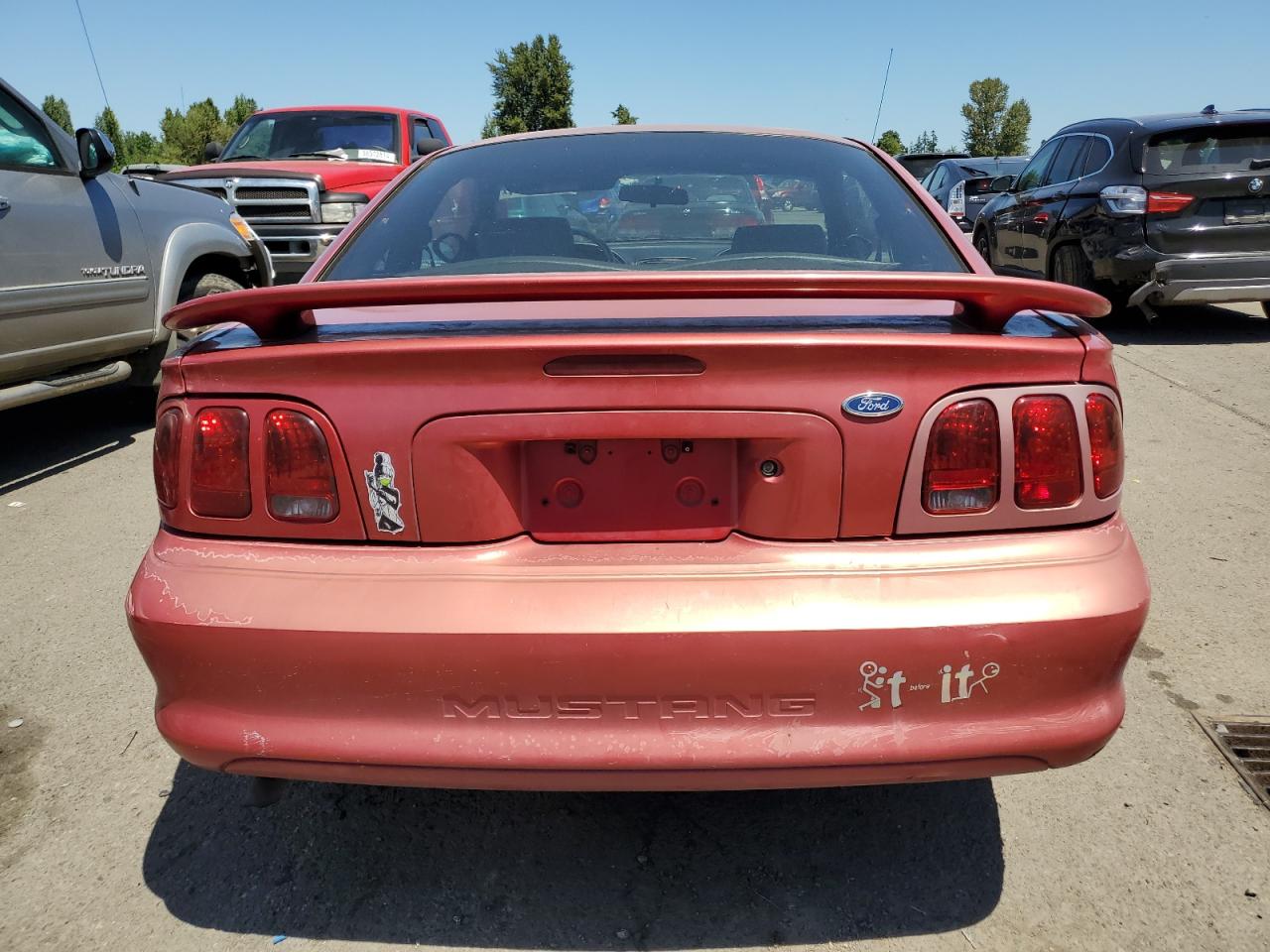 Lot #2823946055 1998 FORD MUSTANG