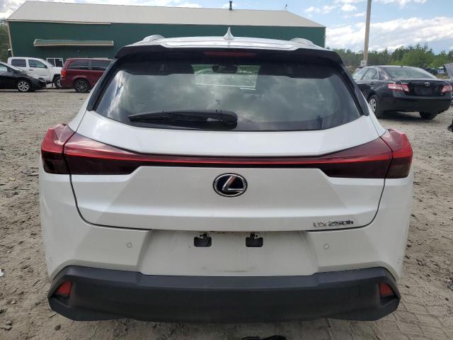 2020 LEXUS UX 250H - JTHP9JBH1L2028555