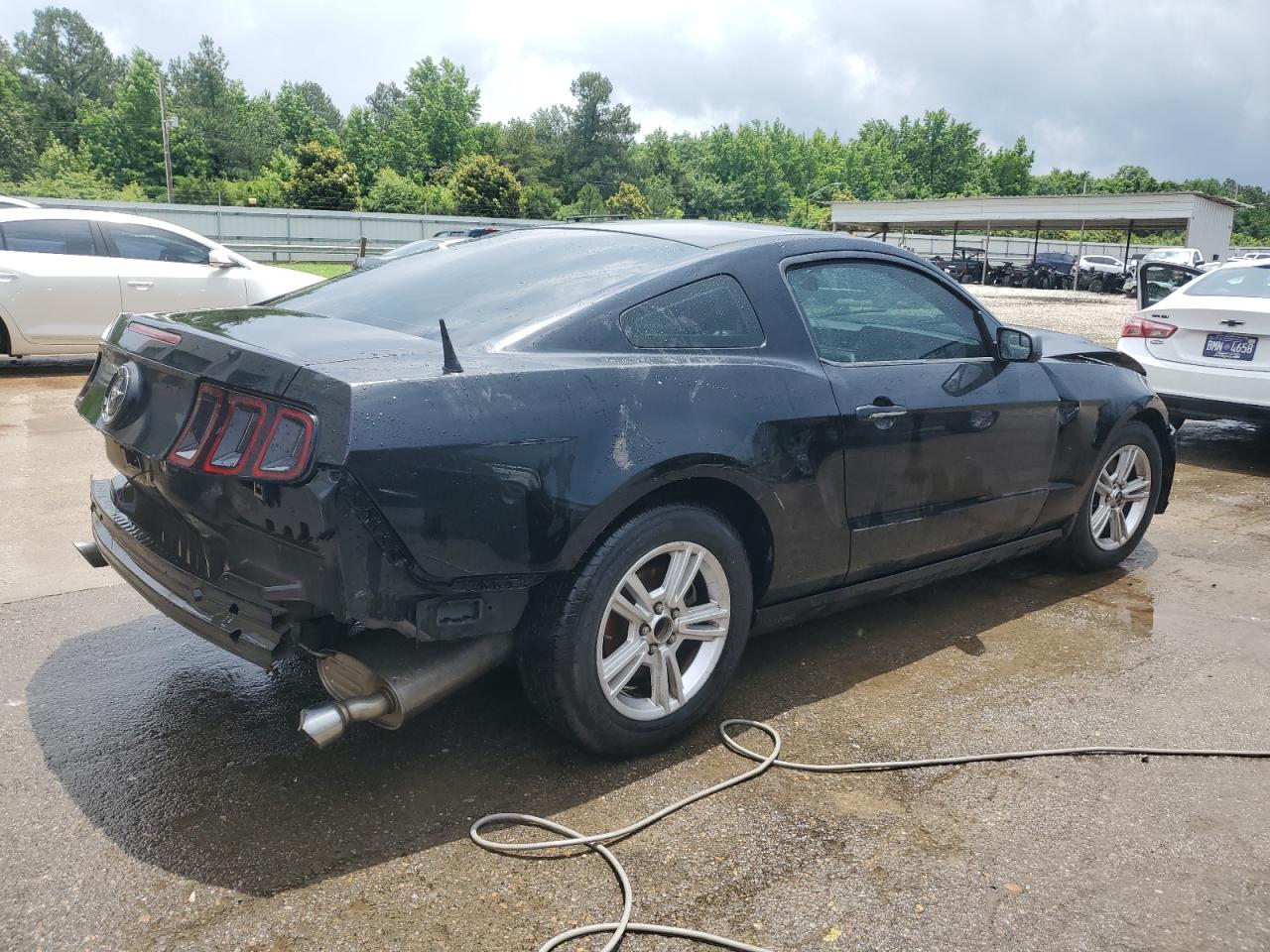 2013 Ford Mustang vin: 1ZVBP8AM7D5280235