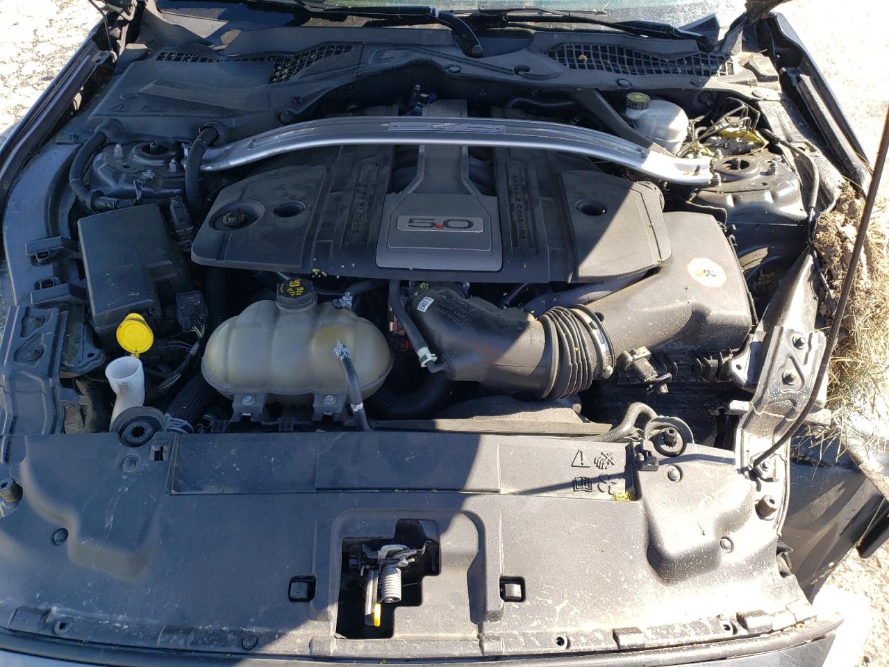 1FA6P8CF1K5197258 2019 Ford Mustang Gt