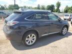 LEXUS RX 350 photo