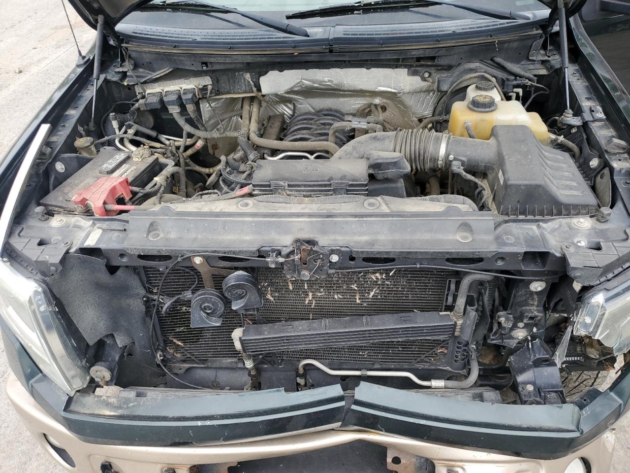 1FTFW1EF4DKF35807 2013 Ford F150 Supercrew