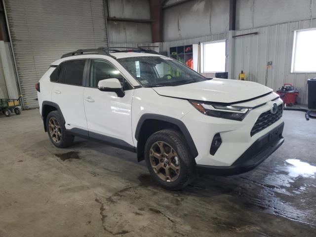 2023 TOYOTA RAV4 WOODL - 2T3UWRFV2PW177078