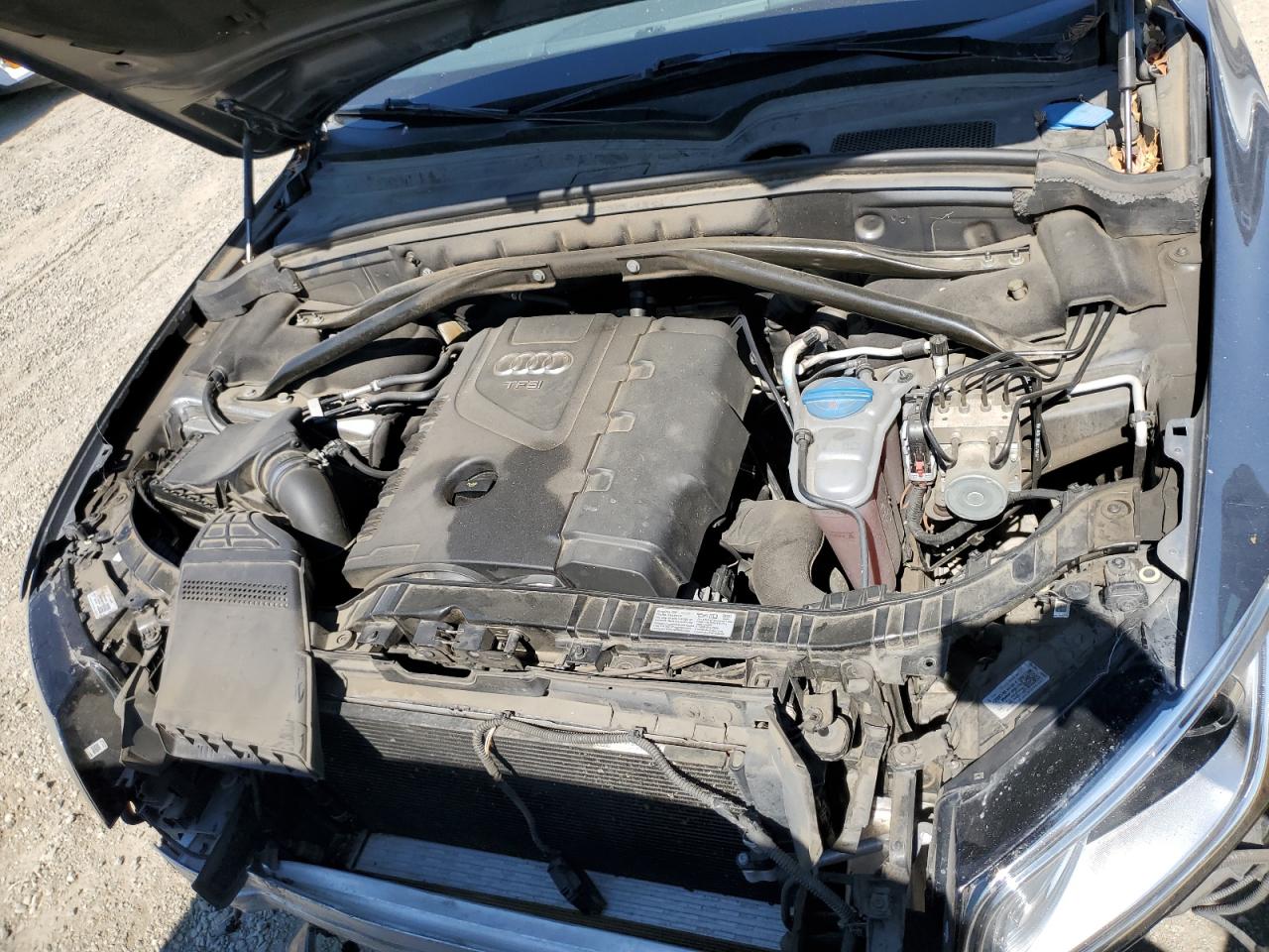 WA1LFAFP5DA014668 2013 Audi Q5 Premium Plus