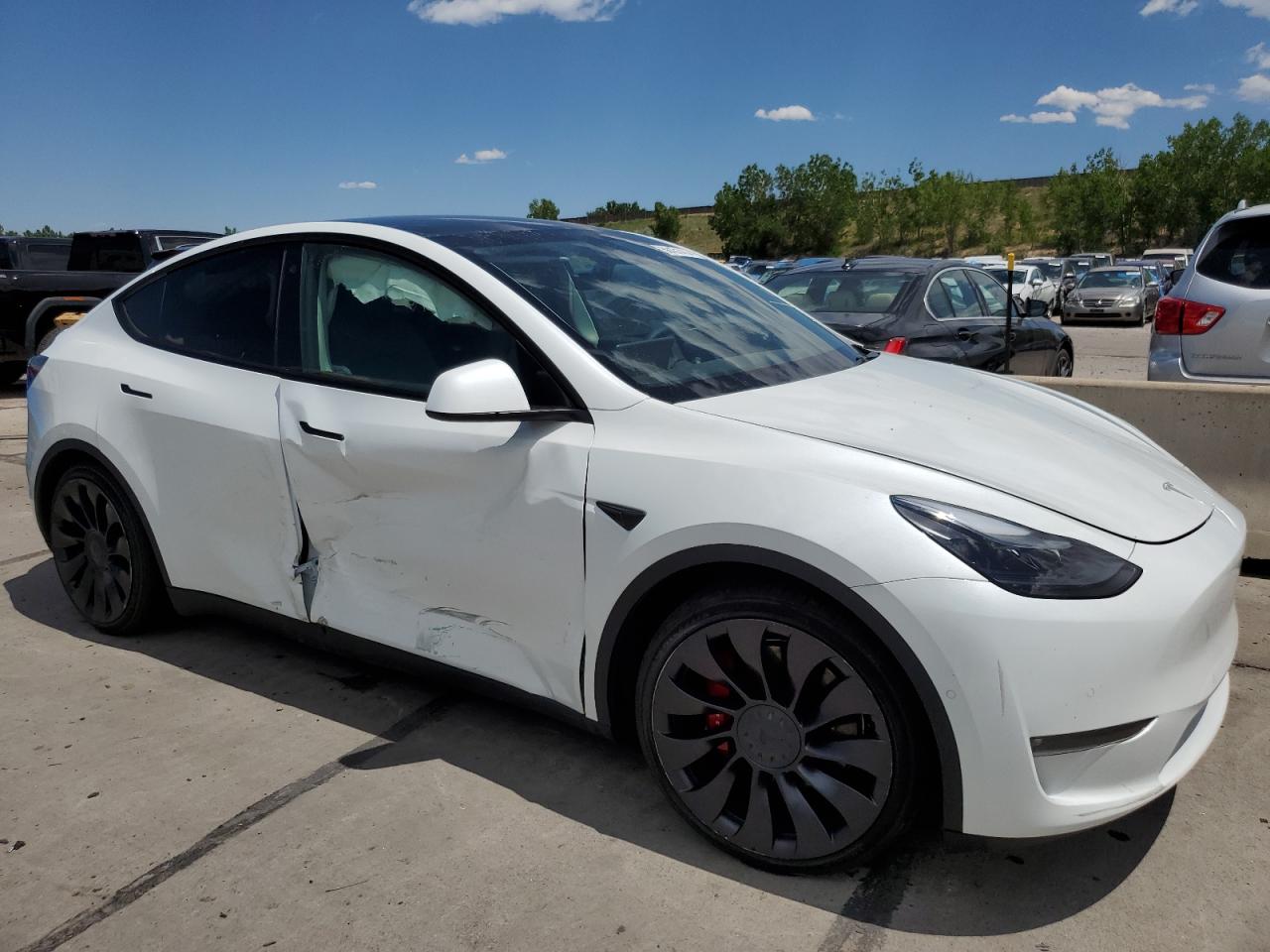 Lot #2996901859 2022 TESLA MODEL Y