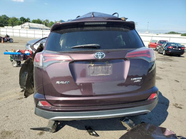 2017 Toyota Rav4 Limited VIN: 2T3DFREV6HW666280 Lot: 55446544