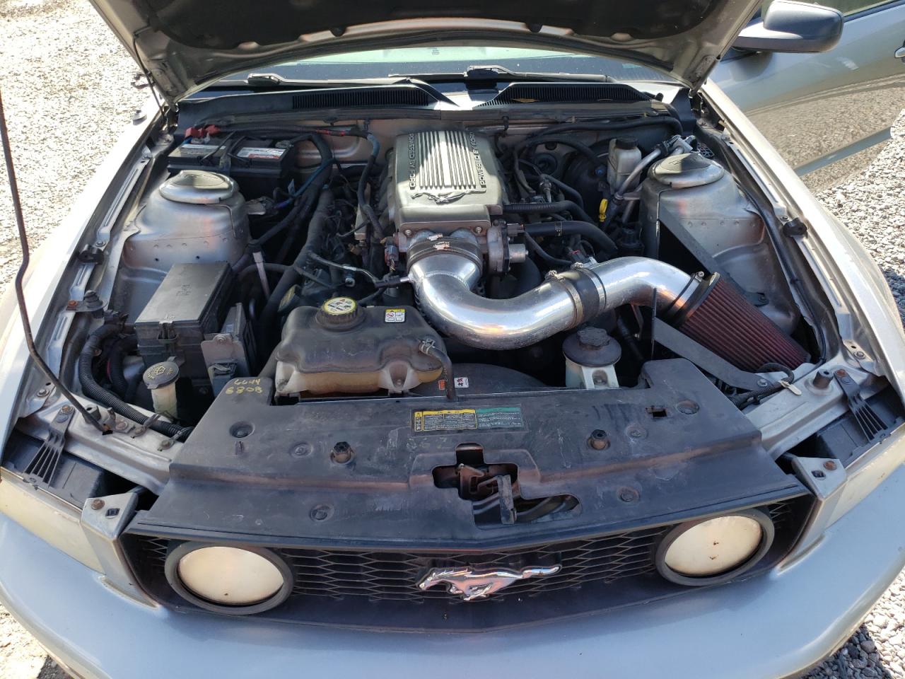 1ZVHT82H895120413 2009 Ford Mustang Gt